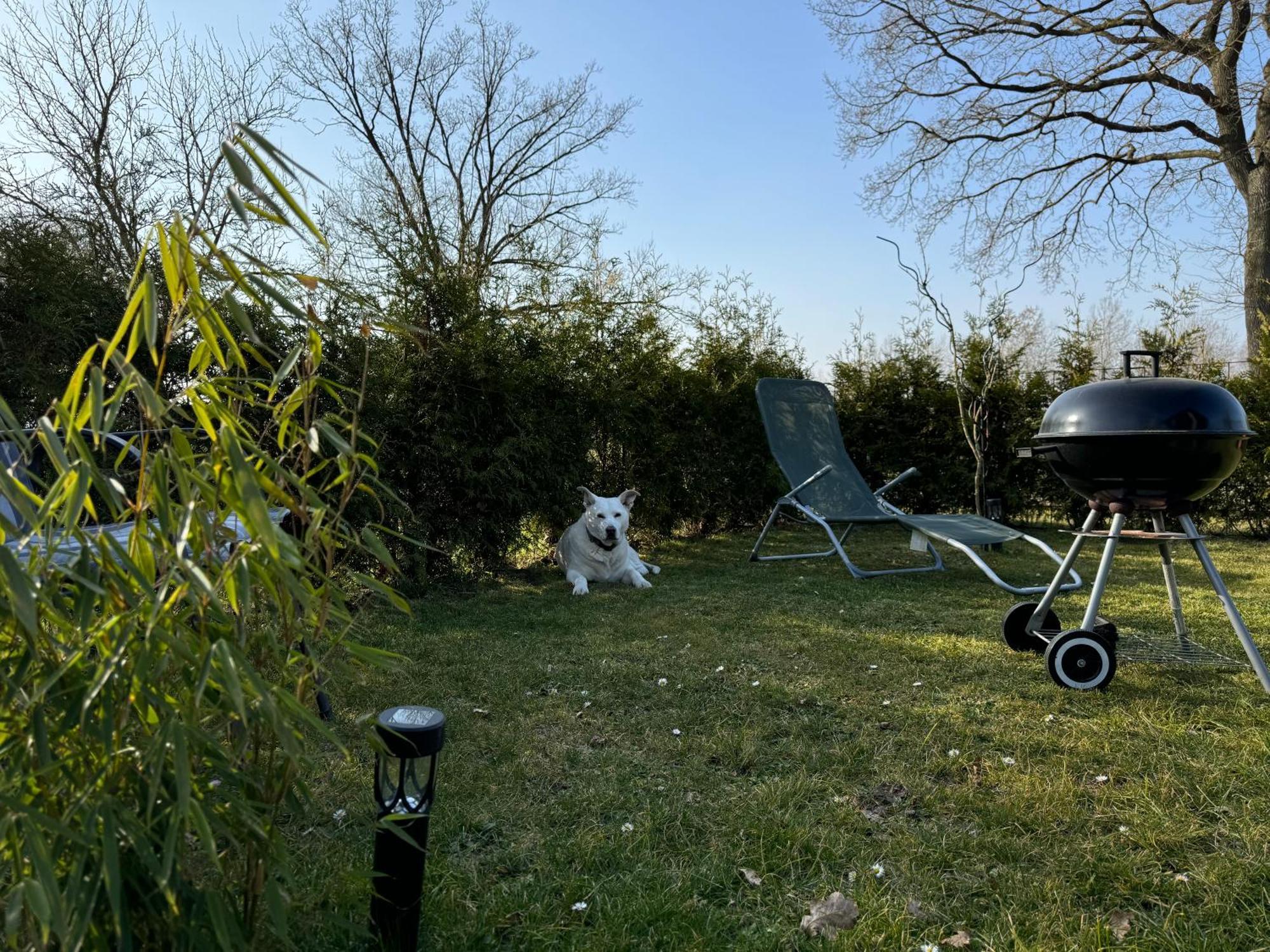 Ferienwohnung Am See Dillich - Ruhige Lage - Eigener Garten - Direkt Neben Einem Natursee Borken  Exterior photo