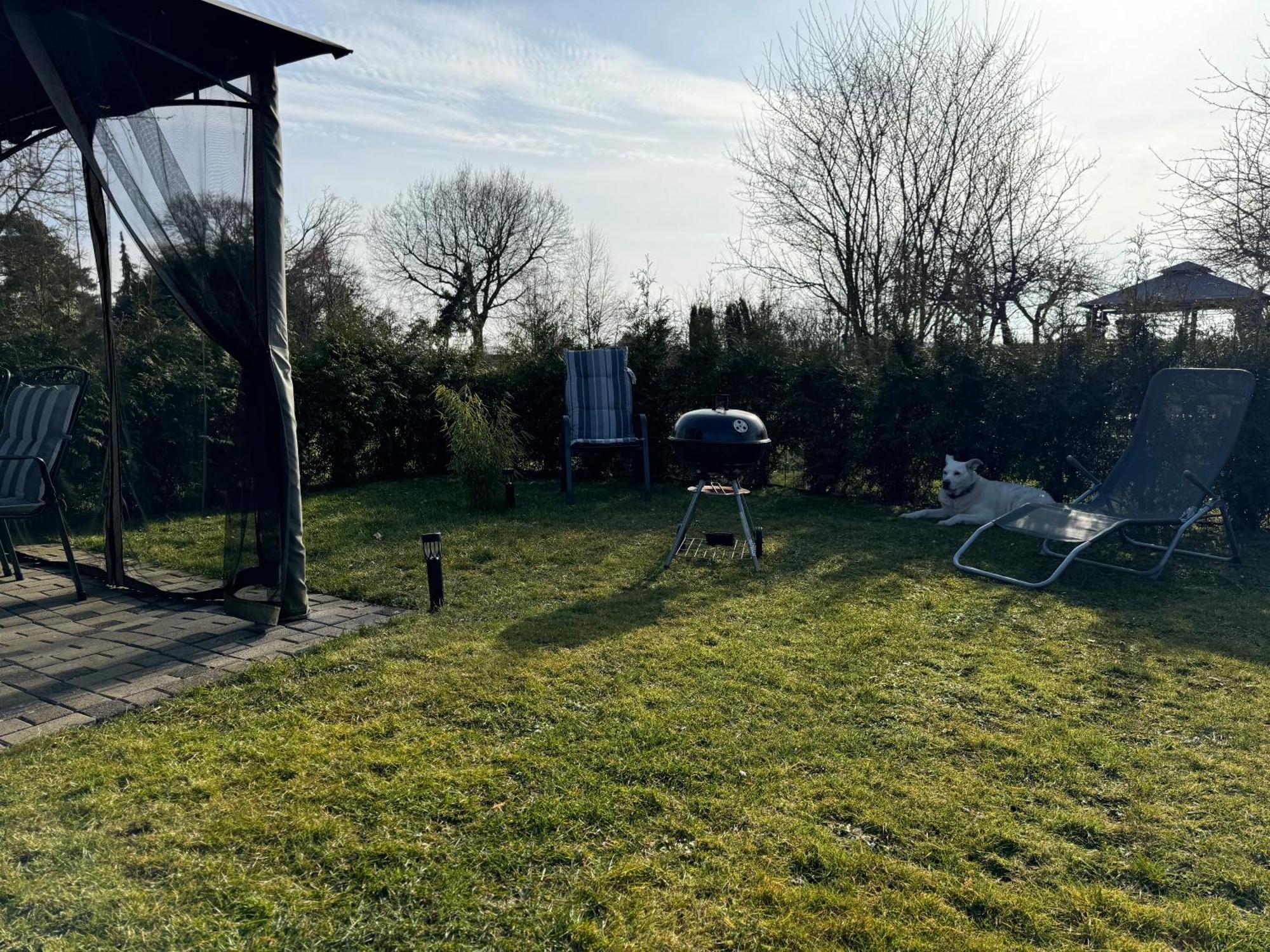 Ferienwohnung Am See Dillich - Ruhige Lage - Eigener Garten - Direkt Neben Einem Natursee Borken  Exterior photo