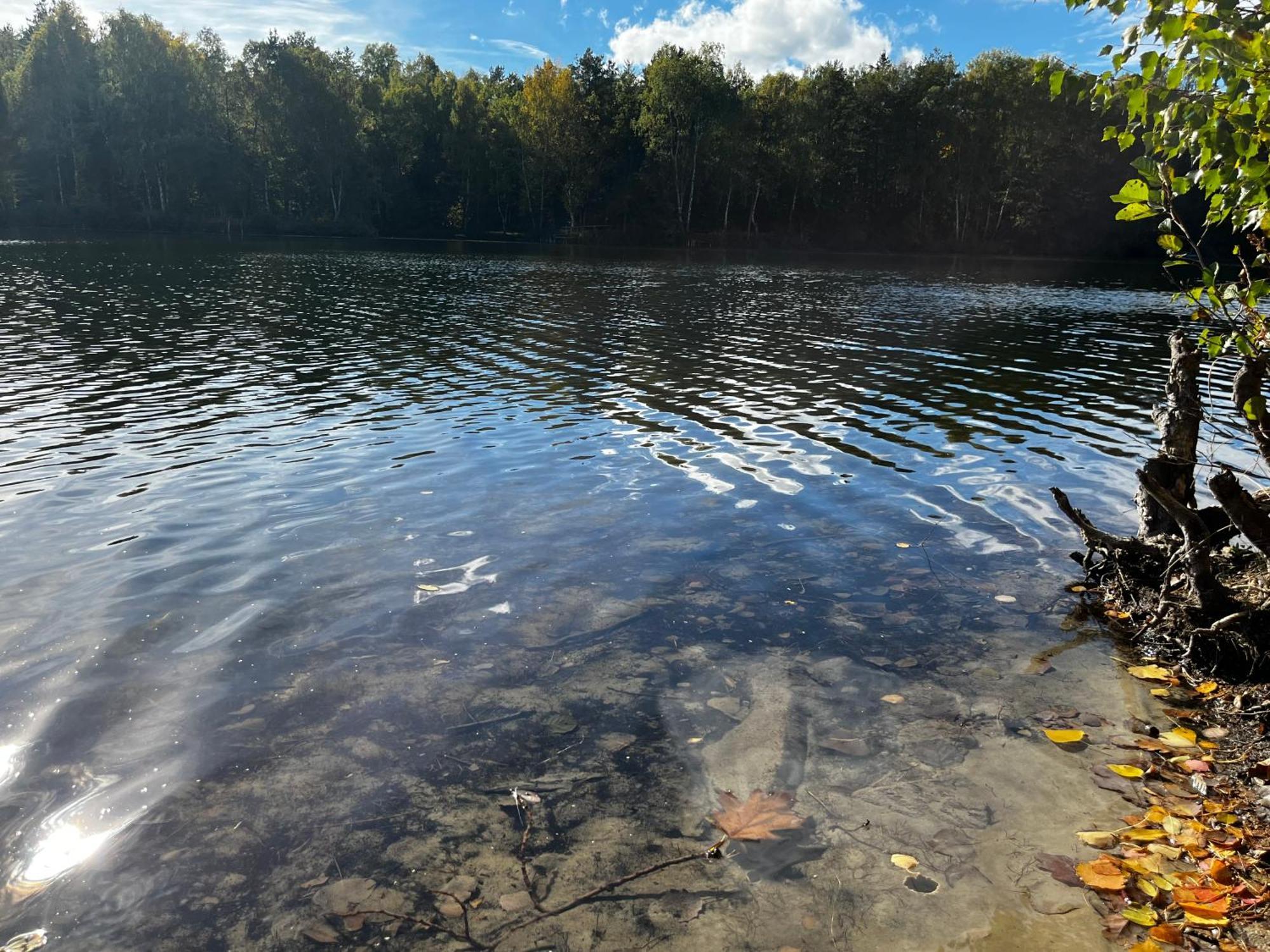 Ferienwohnung Am See Dillich - Ruhige Lage - Eigener Garten - Direkt Neben Einem Natursee Borken  Exterior photo