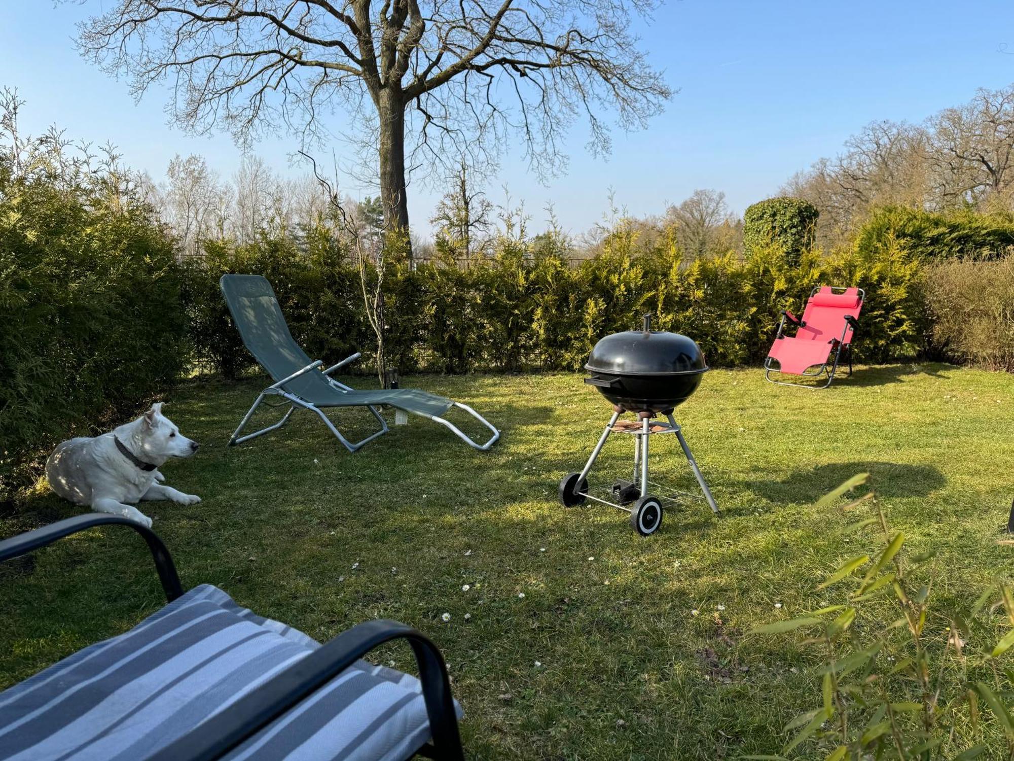 Ferienwohnung Am See Dillich - Ruhige Lage - Eigener Garten - Direkt Neben Einem Natursee Borken  Exterior photo